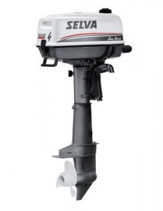 SELVA seabass-4 HP